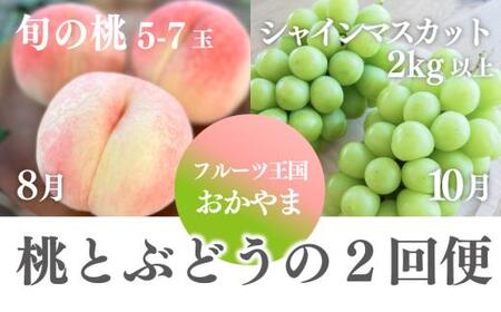 桃も葡萄もしっかり食べたい！旬桃とシャインマスカットの満足便 (定期便) (岡山県産) / 8月10月 【2026年先行予約】 【KF-T062-02】