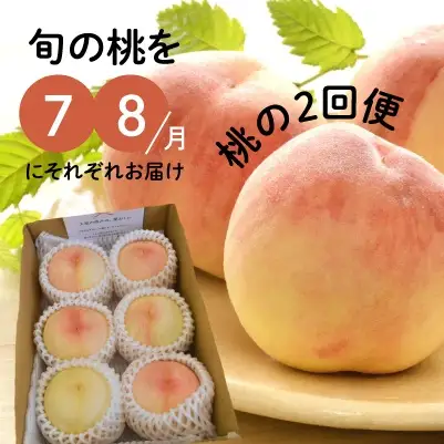 旬の桃の食べ比べを楽しむ、桃の２回便！(定期便) (岡山県産)【KF-T025-01】