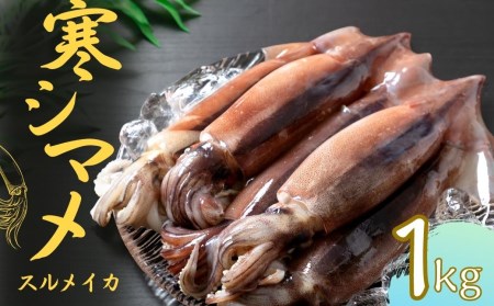 旨味たっぷり！旬の朝どれ寒シマメ（スルメイカ）丸ごと5～6本（1kg以上）＜便利な個包装＞お歳暮 お正月