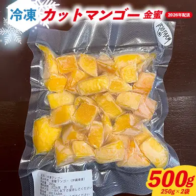 2026年7月発送　先行予約　金蜜　冷凍カットマンゴー500g（250g×2袋） 沖縄県 名護市 マンゴー 金蜜 冷凍 フルーツ デザート スイーツ 国産フルーツ 果物 大自然 南国気分 先行予約 甘い トロピカル 産地直送 人気 贈り物 おすすめ お取り寄せ