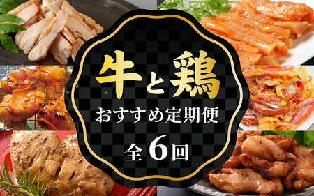 【6ヶ月定期便】前田かしわ店 鶏 牛ホルモン おすすめセット [H-019001]