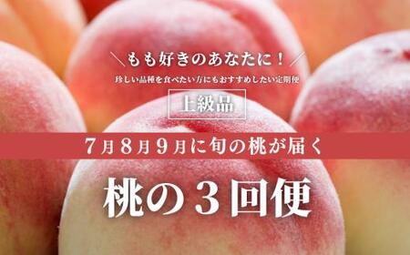 桃 上級品の３回便(定期便) (岡山県産) 【KF-T058-01】
