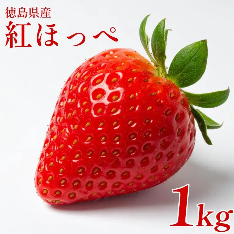 いちご 1kg 紅ほっぺ いちご