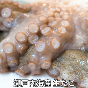 活き締め真たこ1ぱい約1kg　レシピ付き 蛸 生 刺身