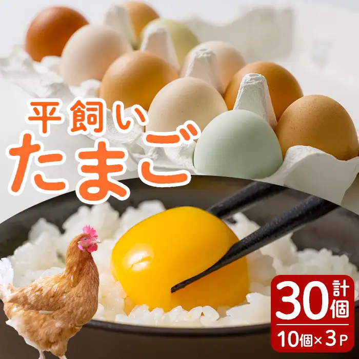 鶏とわたしの平飼い玉子 30個(10個入り×3パック) たまご 卵 卵焼き 生卵 ゆで卵 卵かけごはん 鶏卵 鶏 平飼い 【鶏とわたし】tm545