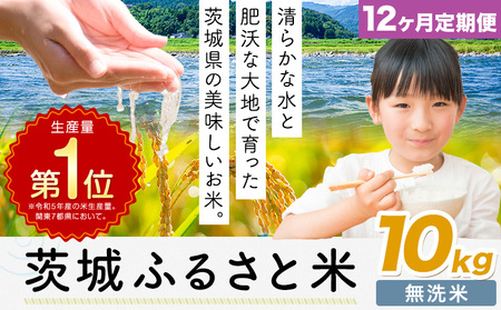 【12ヶ月定期便】米 茨城 ふるさと米 無洗米 10kg《申込月の翌月より出荷開始》茨城県 河内町 米 国産 お米 おこめ お弁当 おにぎり