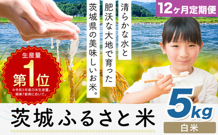 【12ヶ月定期便】米 茨城 ふるさと米 白米 5kg《申込月の翌月より出荷開始》茨城県 河内町 米 国産 お米 おこめ お弁当 おにぎり