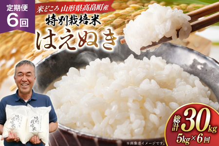 米 定期便 6回 令和8年 はえぬき 5kg 6回 計30kg [渡部ファーム 山形県 高畠町 tk06ays810042] お米 白米 精米 ごはん ご飯 ブランド米