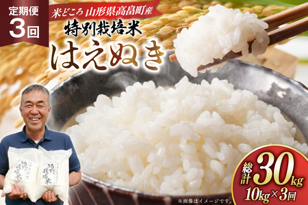 米 定期便 3回 令和8年 はえぬき 10kg 3回 計30kg [渡部ファーム 山形県 高畠町 tk06ays810043] お米 白米 精米 ごはん ご飯 ブランド米