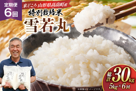 米 定期便 6回 令和8年 雪若丸 5kg 6回 計30kg [渡部ファーム 山形県 高畠町 tk06ays810048] お米 白米 精米 ごはん ご飯 ブランド米