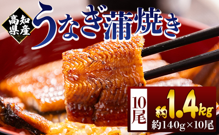 高知県産蒲焼きうなぎ 約１４０ｇ １０尾 計約１４００ｇ fb-0150
