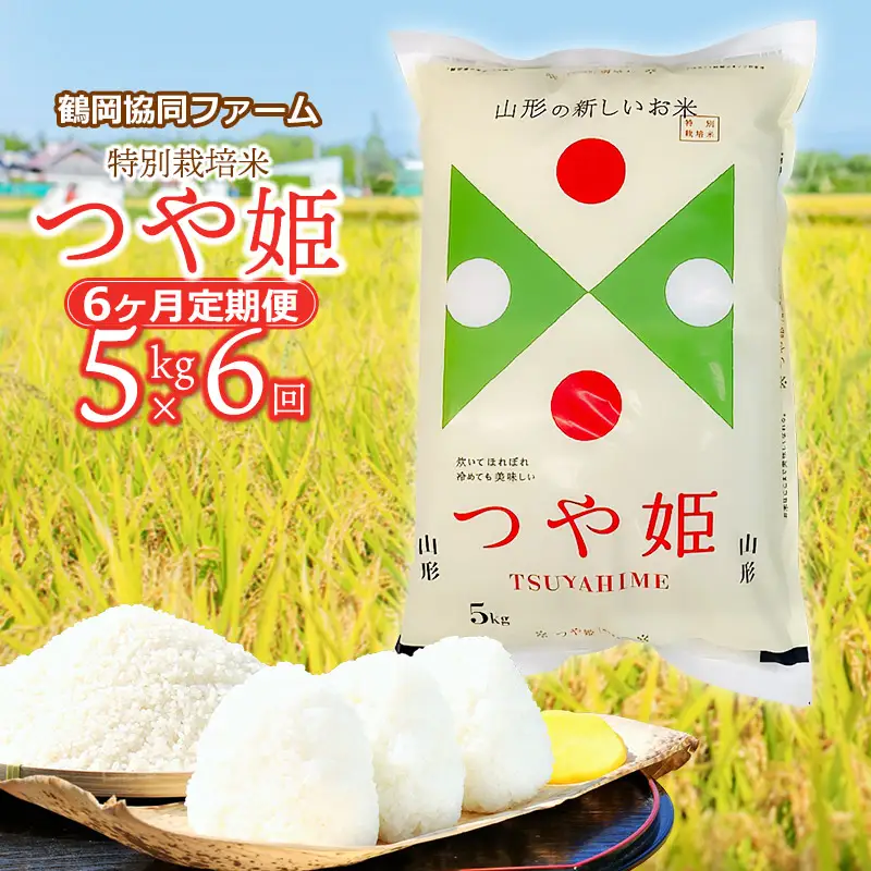 【令和8年産先行予約】特別栽培米つや姫 5kg (5kg×1袋)×6ヶ月【定期便】　鶴岡協同ファーム 
