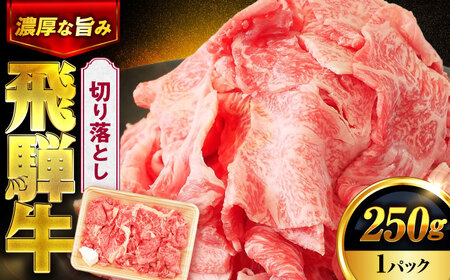 飛騨牛 切り落とし 250ｇ 1パック【土岐市観光協会】[MHI001]