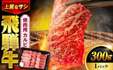 飛騨牛 焼肉用(カルビ) 300g 【土岐市観光協会】[MHI003]