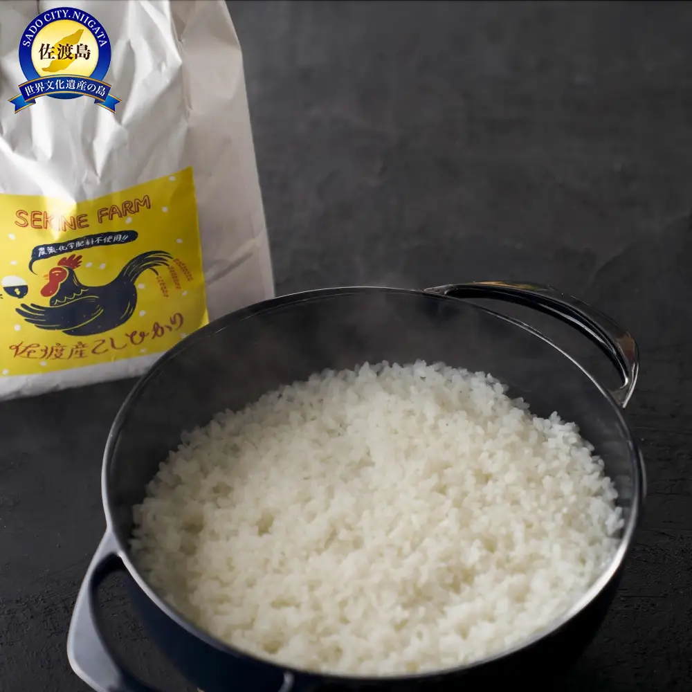【農薬化学肥料を使わずに育てた】佐渡平清水産コシヒカリ 精米5kg