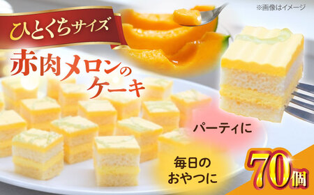 【訳あり】赤肉メロンのケーキ 【ファミール製菓株式会社】[AKCI025]