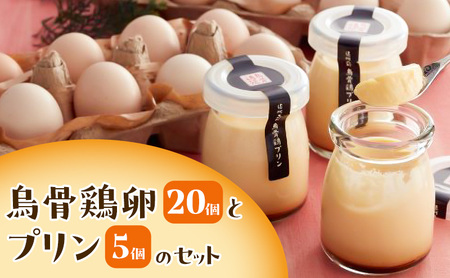 鳥骨鶏卵（20個）とプリン（5個）のセット たまご 烏骨鶏 プリン スイーツ お菓子 静岡県 森町