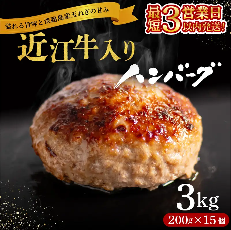 ハンバーグ 3kg 近江牛入り 【スピード配送】 RM