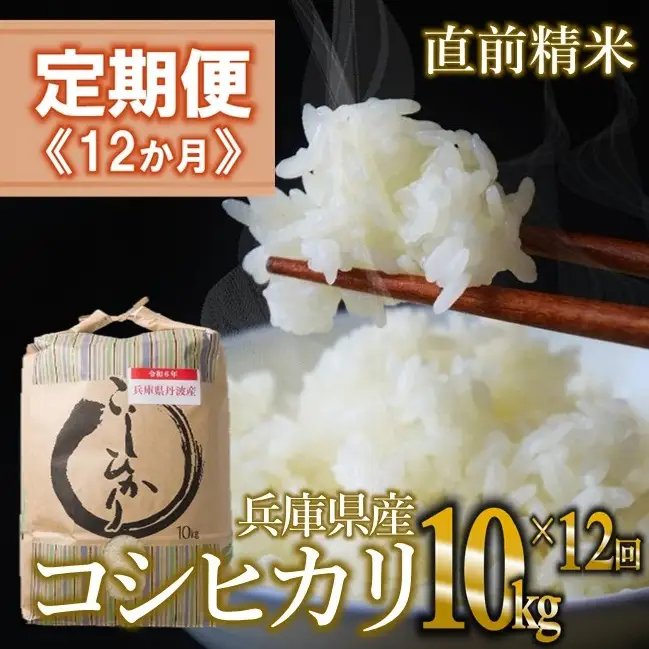 【定期便/12回】コシヒカリ 白米10kg ×12か月連続お届け
