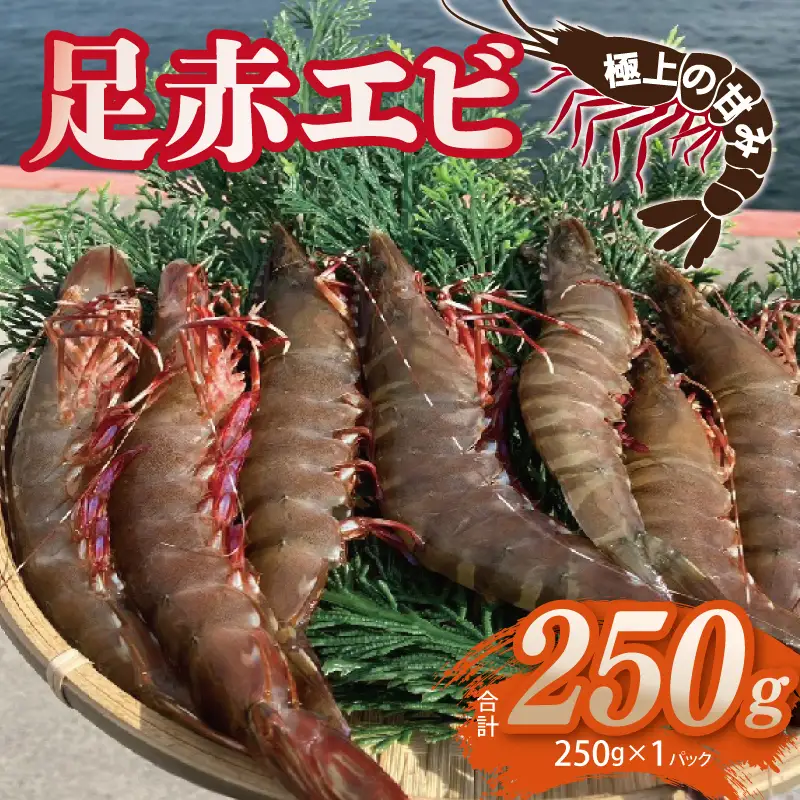 足赤エビ 250g