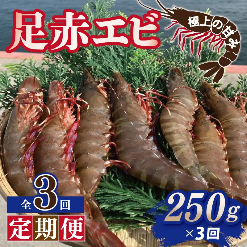 【定期便】足赤エビ 250g×全3回 計750g