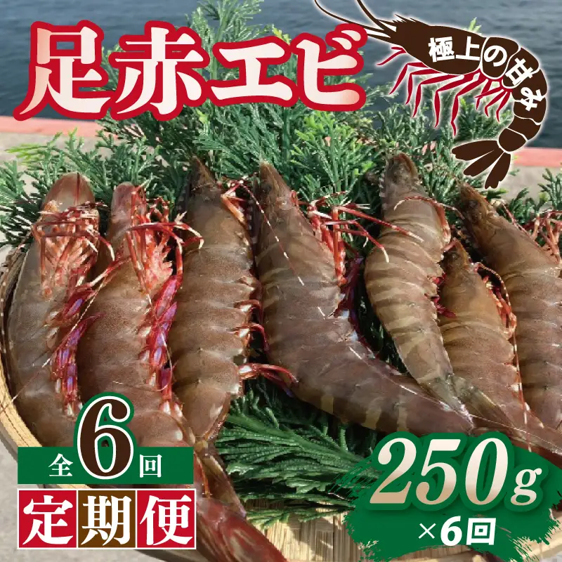 【定期便】足赤エビ 250g×全6回 計1.5kg