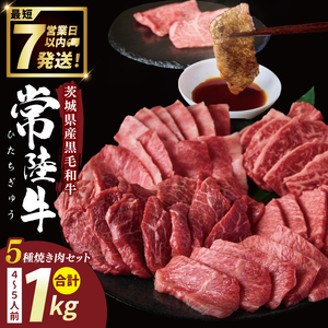 常陸牛5種焼肉セット希少部位入り（４～５人前１kg)（NW-13）