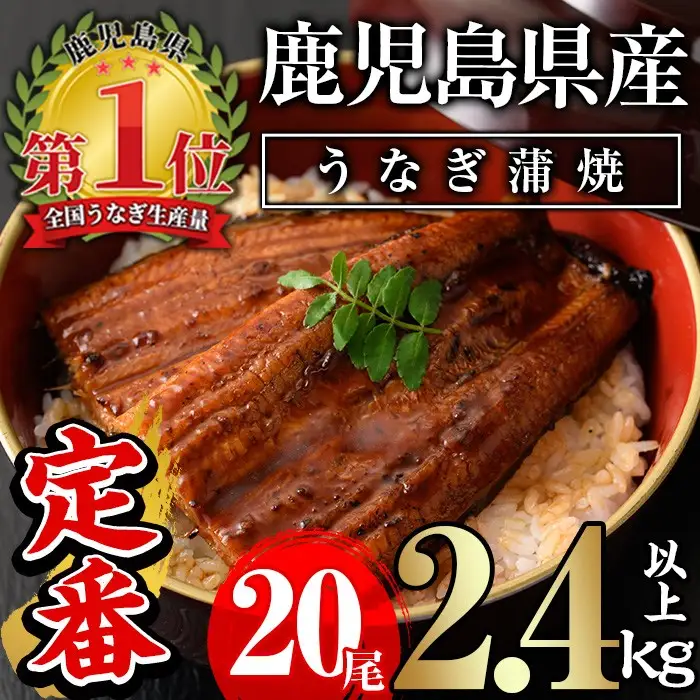 うなぎ 無投薬 鹿児島県産 ＜定番＞(計2.4kg以上・ 約120g×20尾) うなぎ【西日本養鰻】D52