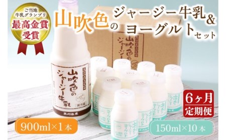 【6ヶ月定期便】 山吹色のジャージー牛乳・ヨーグルトセット 定期便 黒川温泉 山吹色のジャージー牛乳 飲むヨーグルト 2種 11本 ジャージー牛乳 900ml のむヨーグルト 150ml 詰め合わせ アソート セット 乳製品 飲料 健康 腸活 免疫力アップ 乳酸菌 ご当地牛乳グランプリ ご当地 ギフト 贈答用 山のいぶき 熊本 阿蘇 南小国町 送料無料