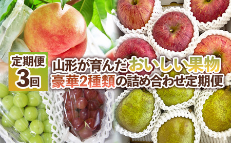 【定期便3回】山形が育んだおいしい果物 豪華２種類の詰め合わせ定期便【令和8年産先行予約】FS25-139