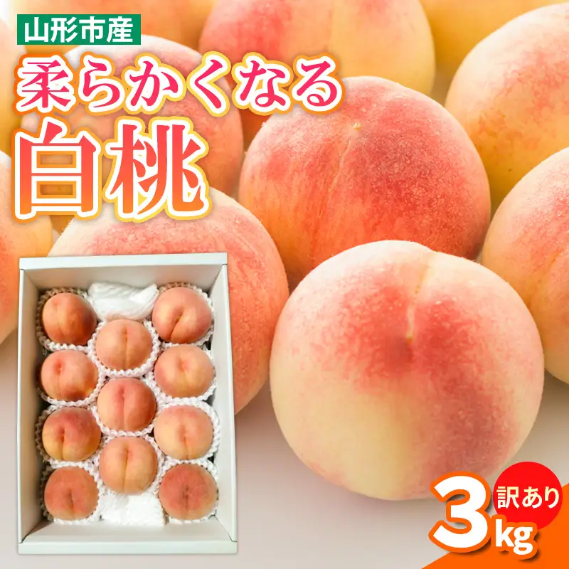 【訳あり】柔らかくなる 白桃 優品 3kg (8個～12個)【令和8年産先行予約】FS25-144