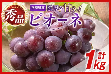 【令和8年発送 先行予約】小林市産 ピオーネ 1kg（ぶどう ブドウ ピオーネ フルーツ 果物 くだもの 先行受付 限定）