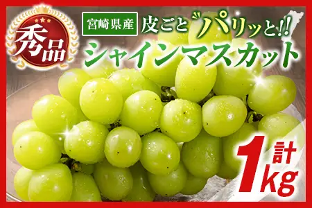 【令和8年発送 先行予約】小林市産 シャインマスカット 1kg（ブドウ ぶどう シャインマスカット マスカット フルーツ 果物 先行受付 限定）