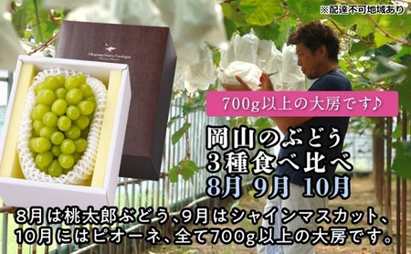 【2026年度発送】岡山のぶどう 3種 食べ比べ 3回 お届け 定期便 （8月・9月・10月）