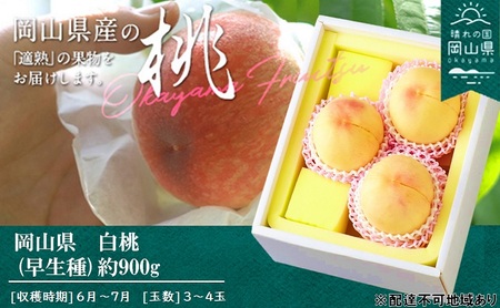 桃 2026年 先行予約 桃 早生種 約900g 3～4玉
