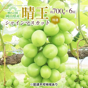 ぶどう 2026年 先行予約 シャイン マスカット 晴王 特選 6房（1房約700g）化粧箱入り 大粒 種無し ブドウ 葡萄 岡山県産 国産 フルーツ 果物 ギフト 橋田商店