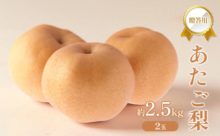 梨 2026年 贈答用 あたご梨 約2.5kg (2玉) フルーツ 果物 岡山 赤磐市