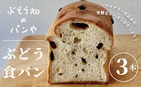 ぶどう食パン 3本