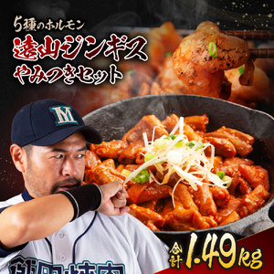 遠山 ホルモン やみつき セット | 長野県 飯田市