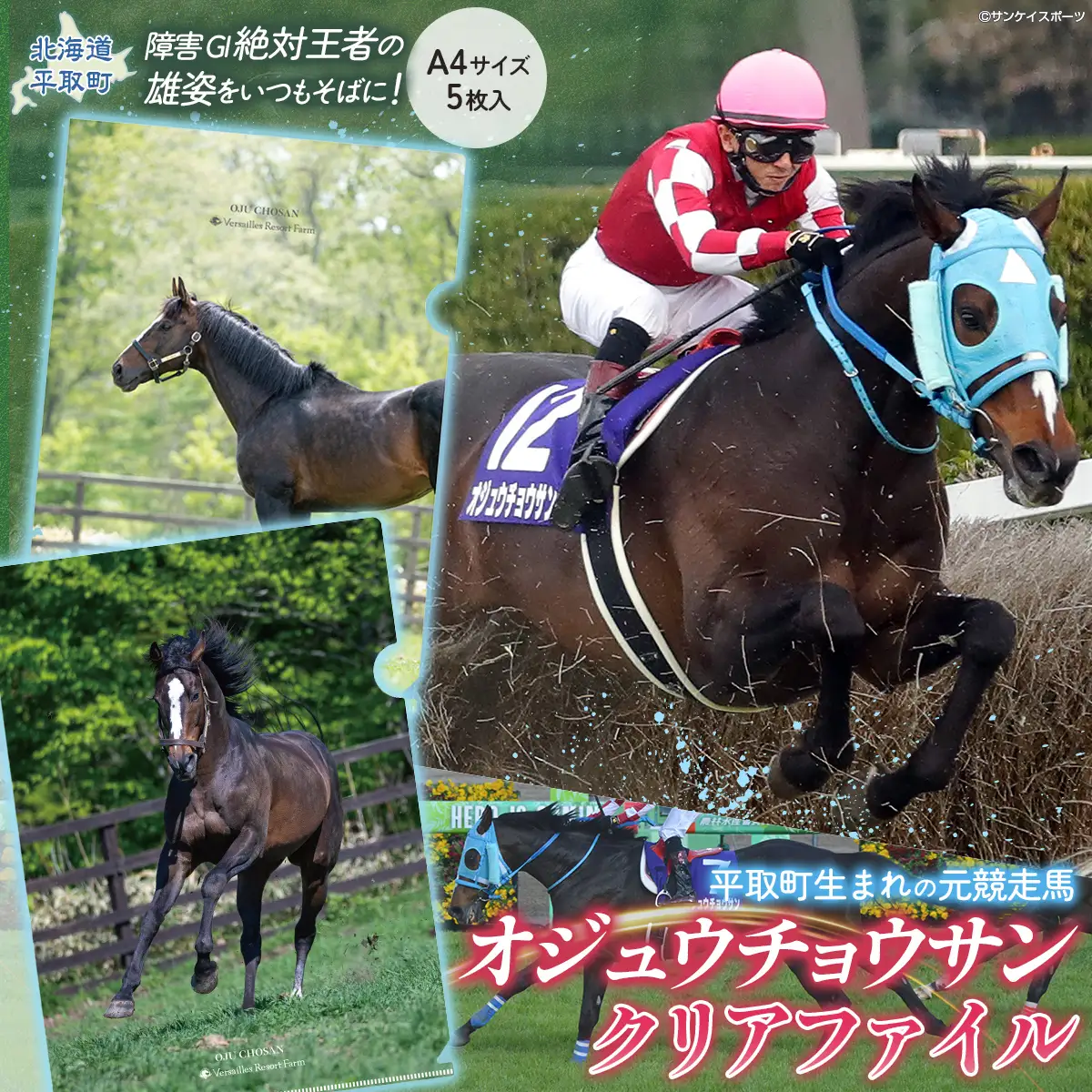 【オジュウチョウサン】クリアファイル（写真）5枚入り BRTV019