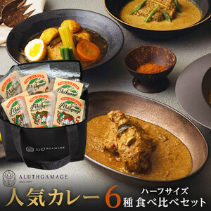 【食べ比べ】人気スパイスカレー6種セット