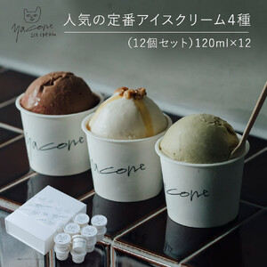 人気の定番アイスクリーム4種（12個セット）