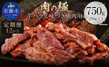 【12か月定期便】牛ハラミ味つき焼肉用 750g (250g×3) MROBM046