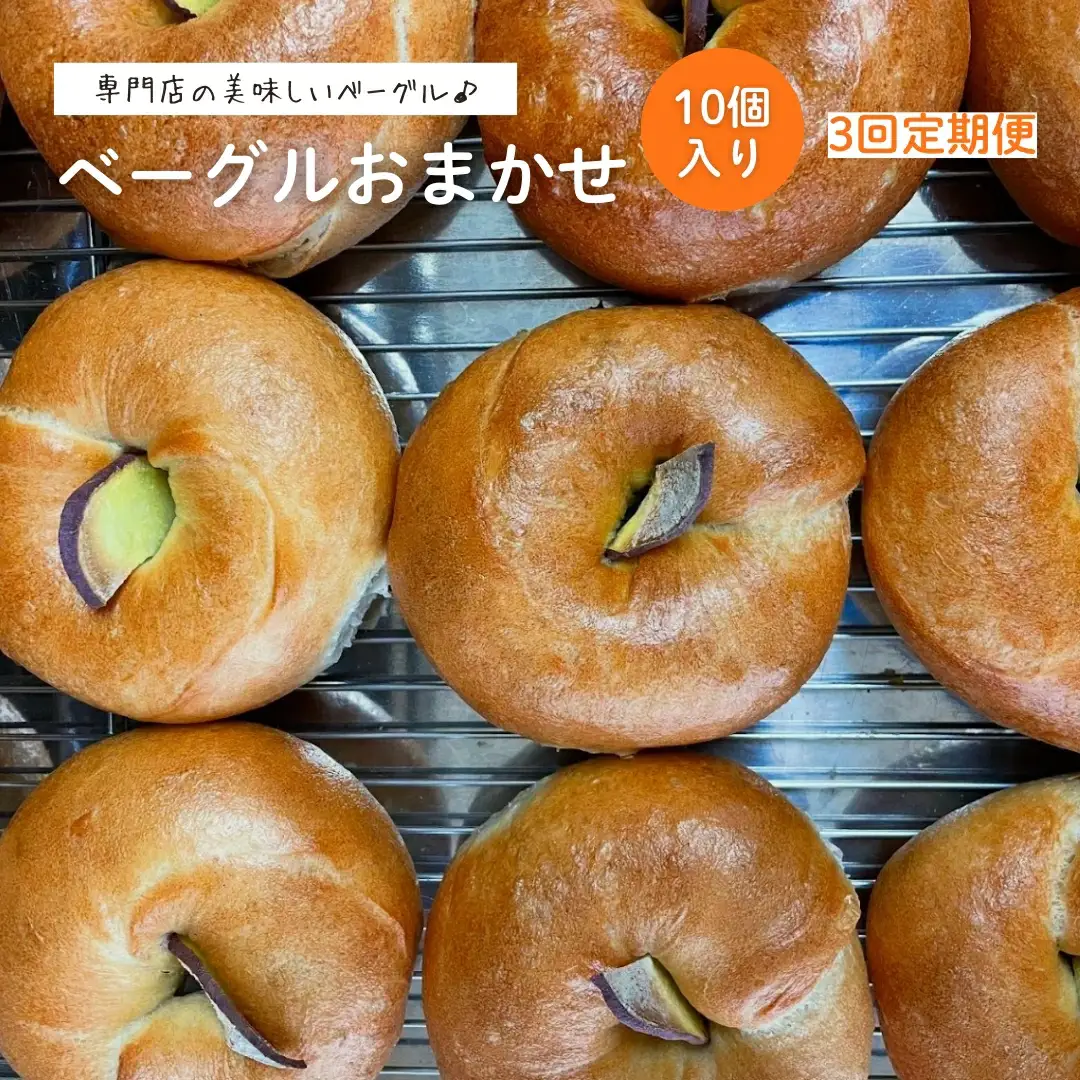 【3回定期便】ベーグル おまかせ 10個 パン 