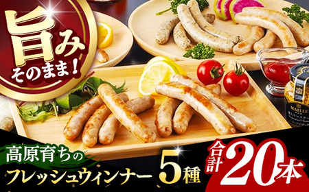 高原育ちのフレッシュウィンナー 5種詰め合わせ 20本 国産 豚肉 肉 冷凍 いわちく