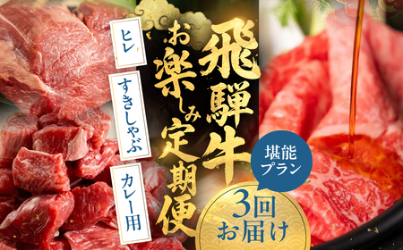 飛騨牛お楽しみ定期便 3回 堪能プラン 定期便