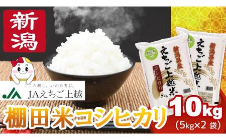 【5月下旬配送】令和7年産  えちご上越米 棚田米 コシヒカリ 10kg 10キロ 上越市 精米 米 コメ おすすめ