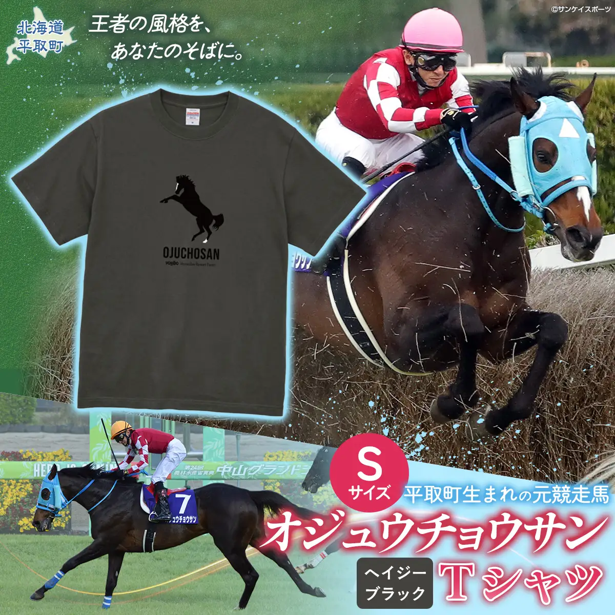 【オジュウチョウサン】Ｔシャツ _Ｓサイズ（ヘイジーブラック）  BRTV004-1
