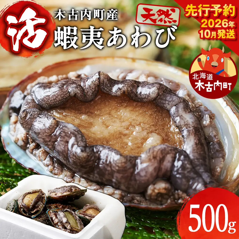 【2026年10月以降発送】活あわび 500g 木古内産