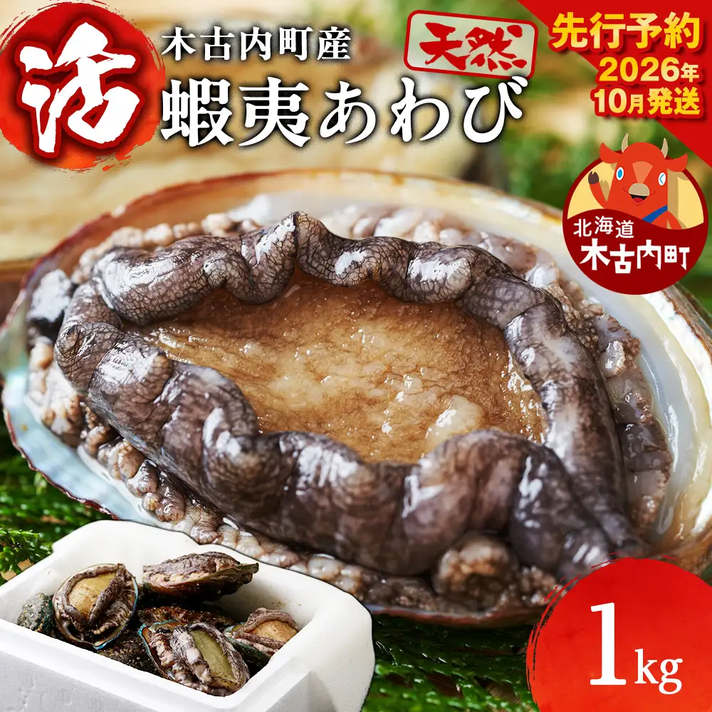 【2026年10月以降発送】活あわび 1kg 木古内産